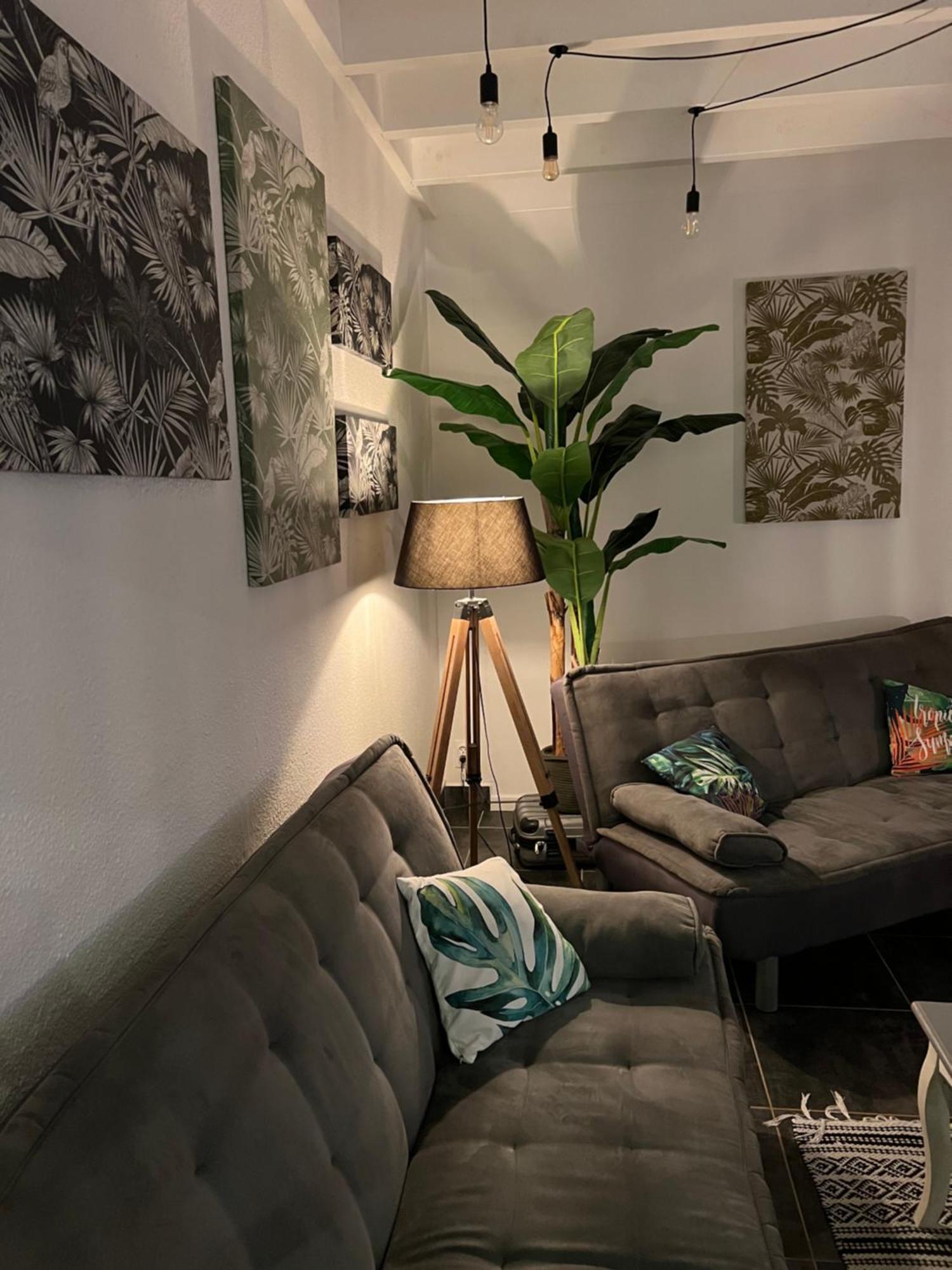Appartement Spacieux Au Village Du Flamboyant Baie Nettle Kültér fotó